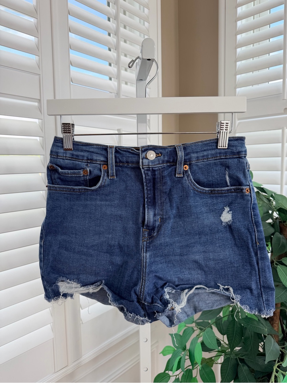 Levi’s Women’s High Rise Shorts Size 29